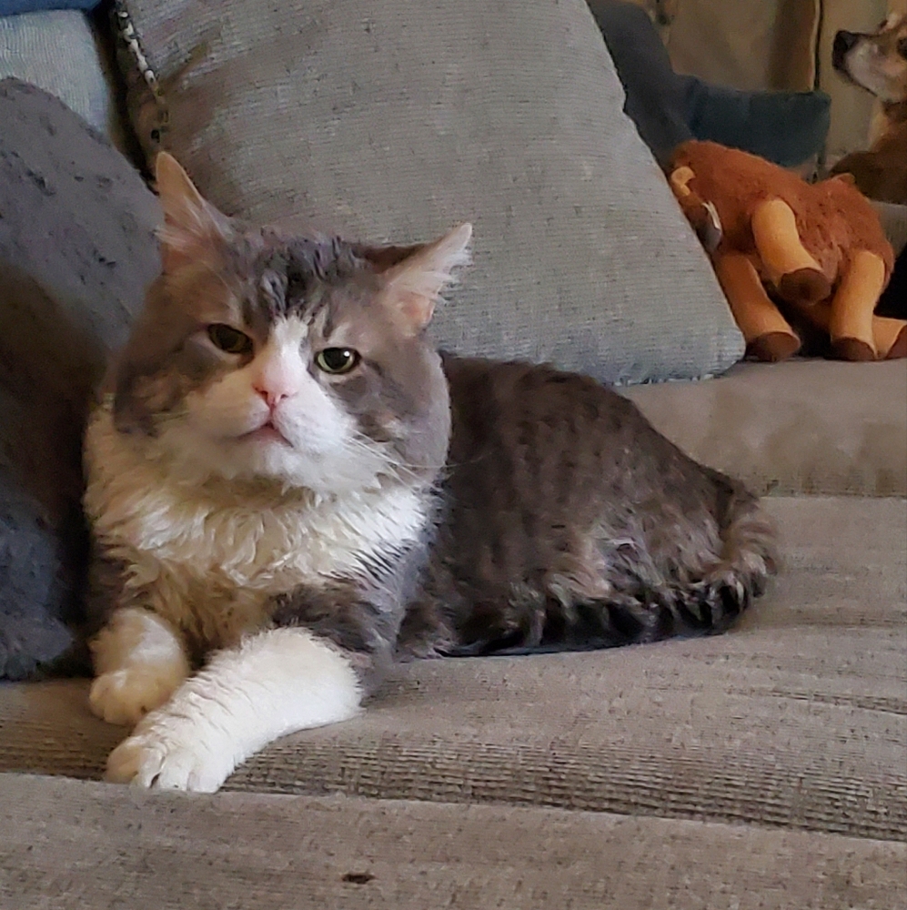 Meet your Posher, Suzanne